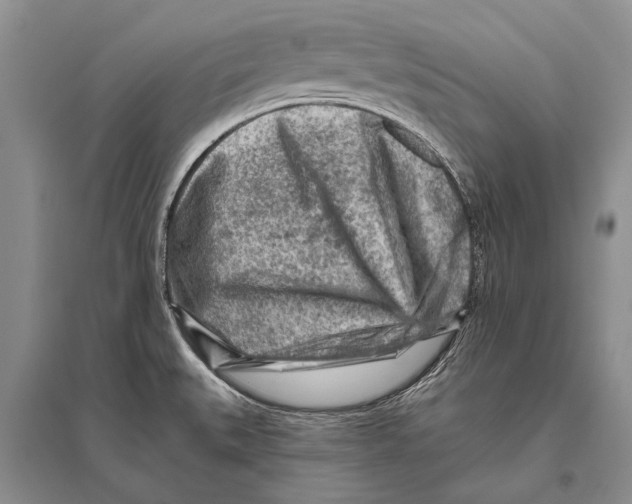 X0000096191527200802151452