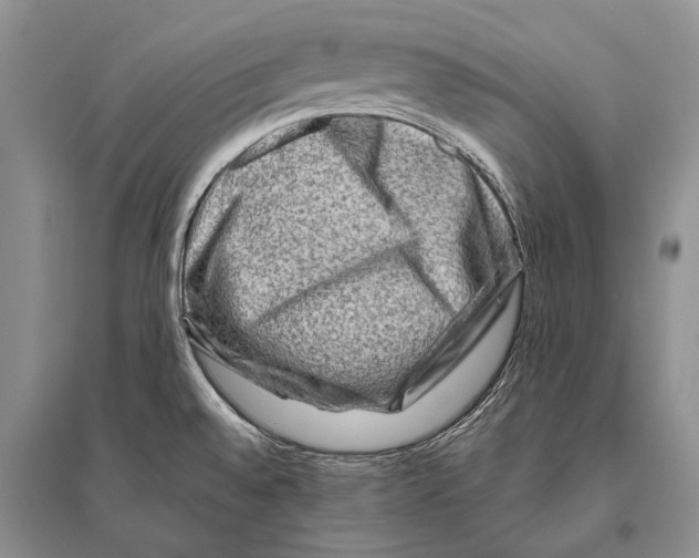 X0000096191528200802151452