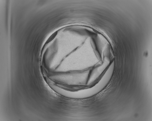 X0000096191532200802151452