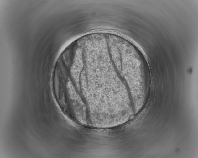 X0000096191533200802151452