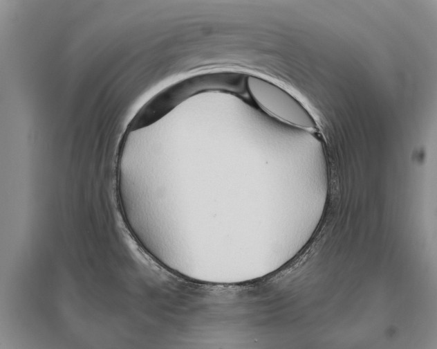 X0000096191534200802151452