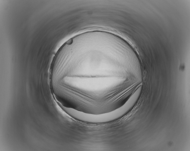 X0000096191535200802151452