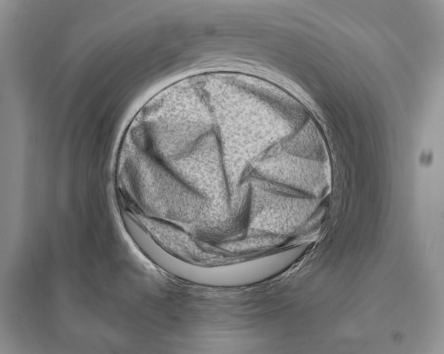 X0000096191536200802151452