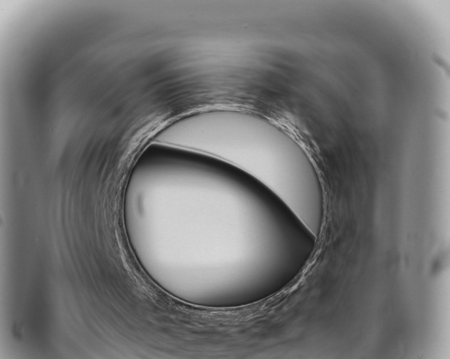 X0000096200001200801181041