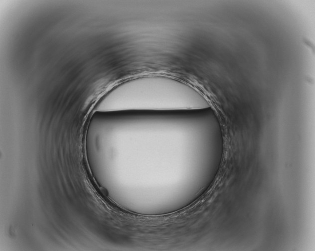 X0000096200002200801181041