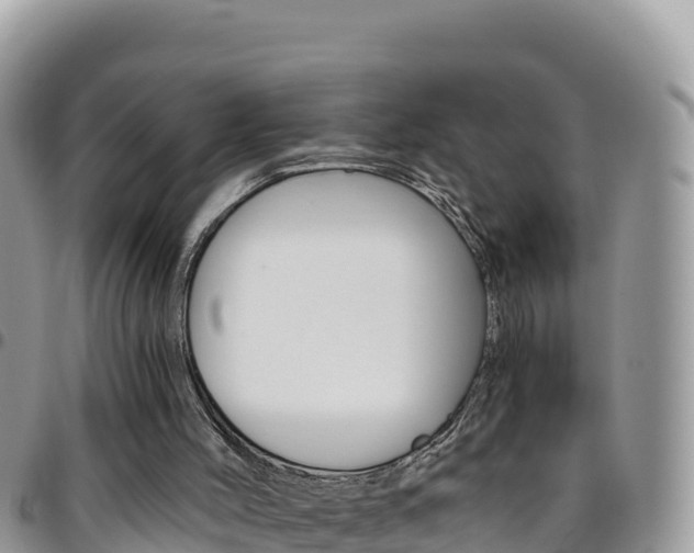 X0000096200004200801181041