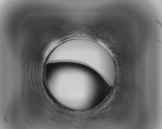 X0000096200007200801181041