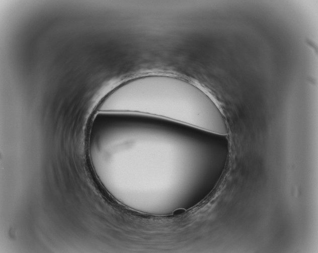 X0000096200008200801181041