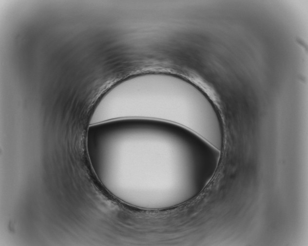 X0000096200009200801181041
