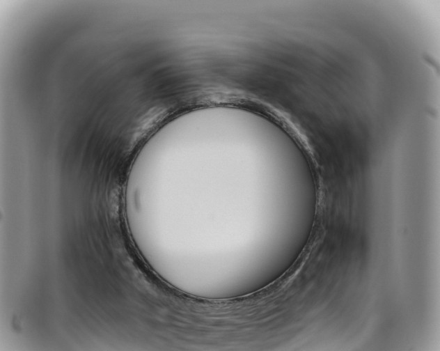 X0000096200010200801181041