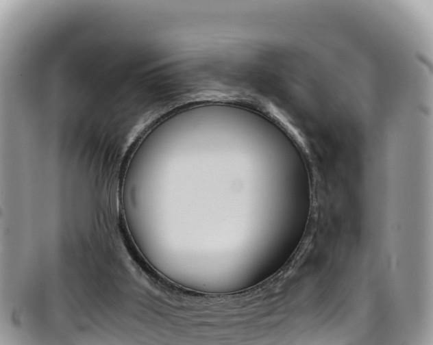 X0000096200011200801181041