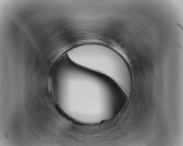 X0000096200013200801181041