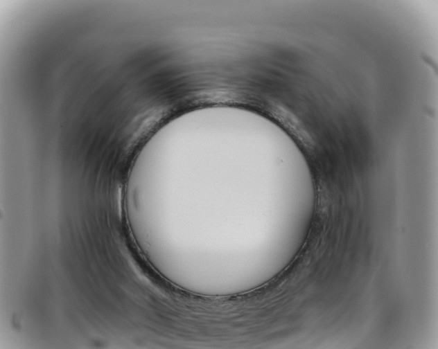 X0000096200014200801181041