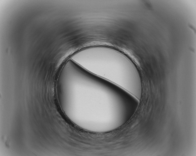 X0000096200015200801181041