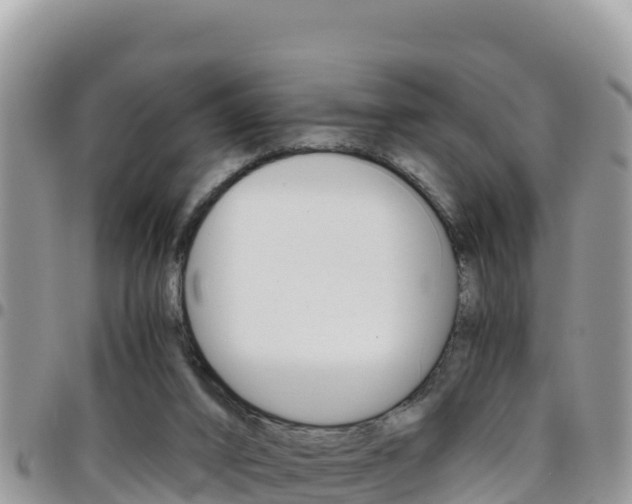 X0000096200016200801181041