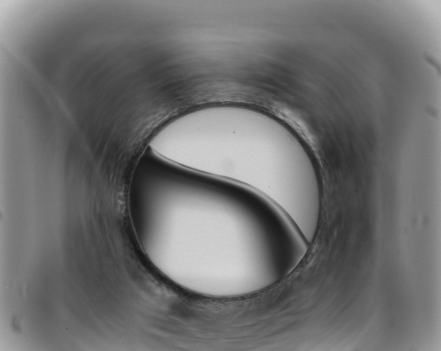 X0000096200017200801181041