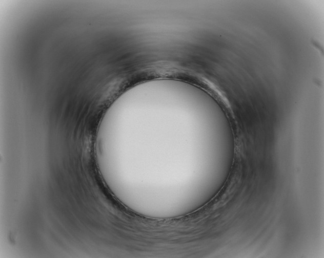 X0000096200018200801181041