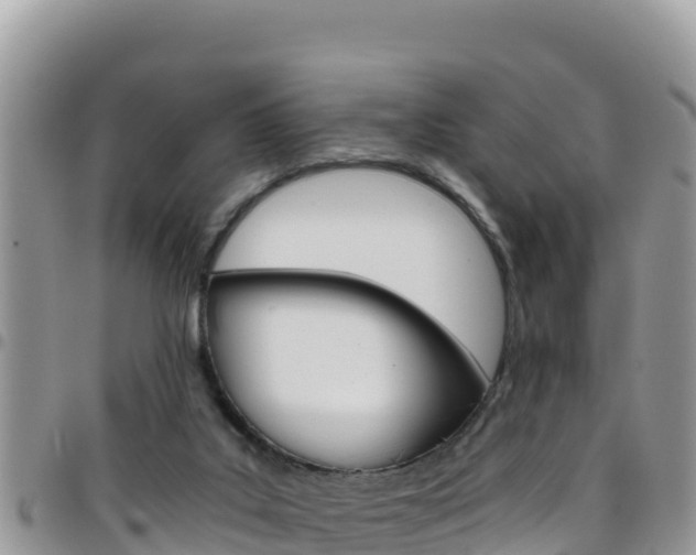 X0000096200019200801181041