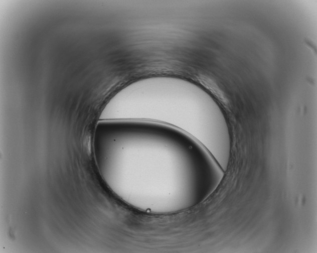 X0000096200021200801181041