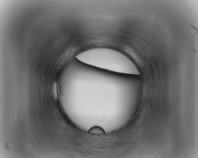 X0000096200022200801181041