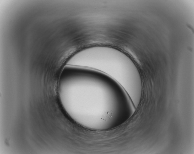X0000096200023200801181041