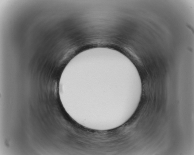 X0000096200024200801181041