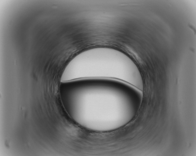 X0000096200025200801181041