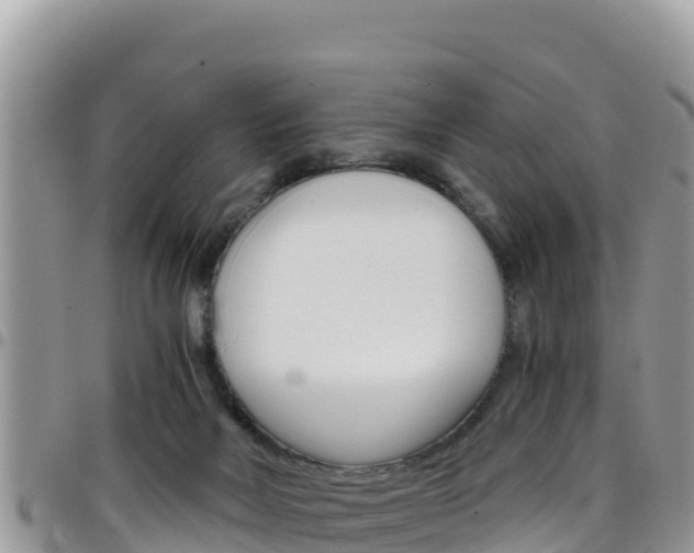 X0000096200026200801181041
