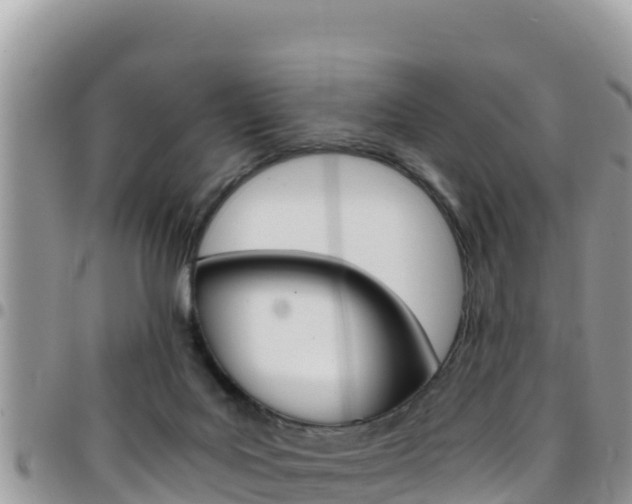 X0000096200027200801181041