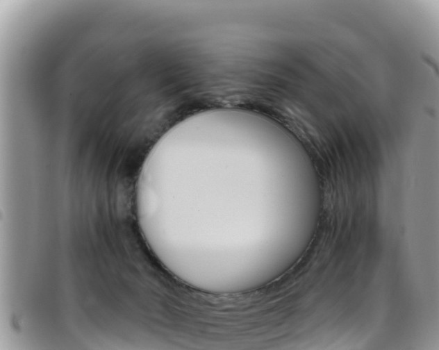 X0000096200030200801181041