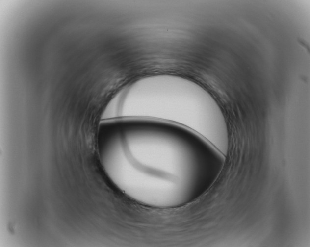 X0000096200031200801181041