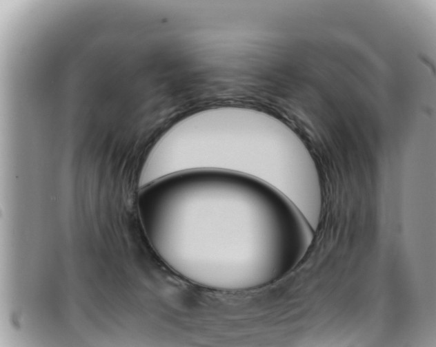 X0000096200033200801181041