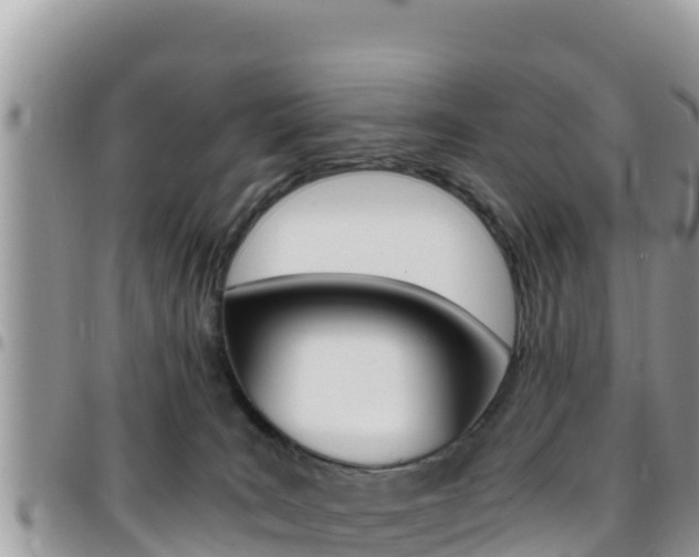 X0000096200035200801181041