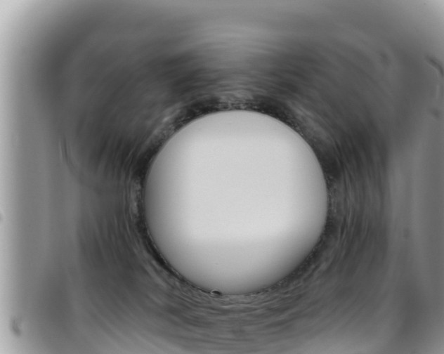 X0000096200038200801181041