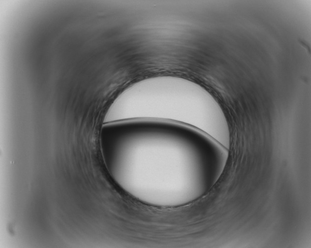 X0000096200039200801181041