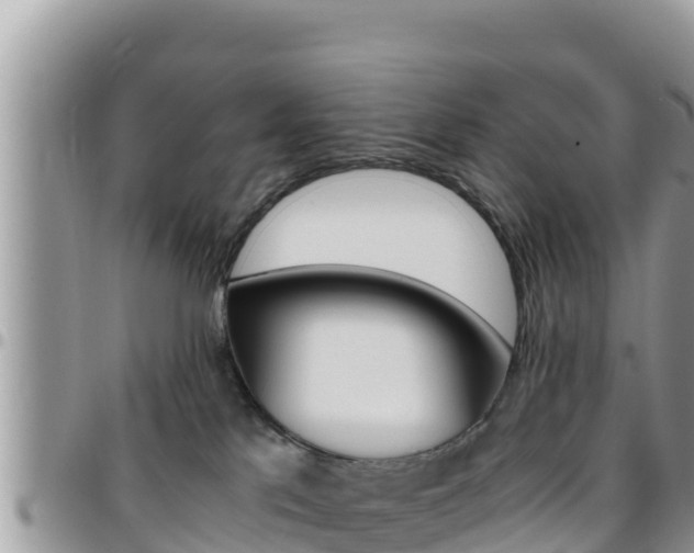 X0000096200041200801181041