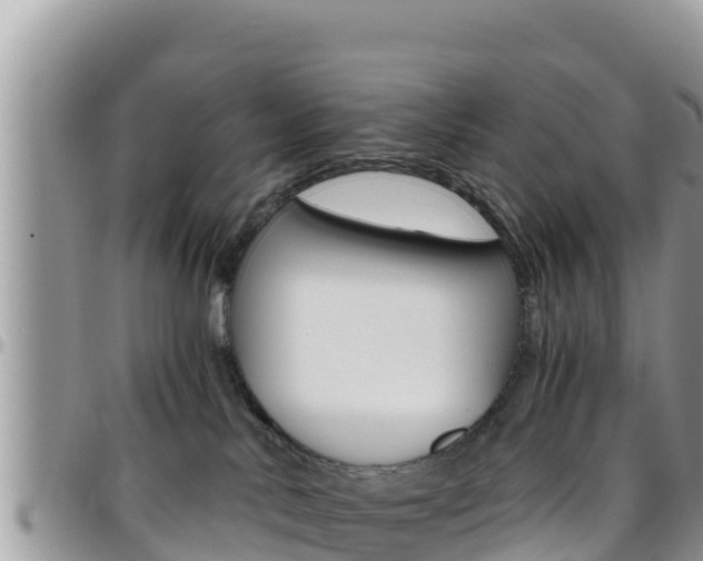 X0000096200042200801181041