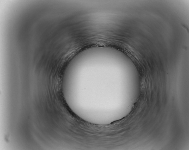 X0000096200043200801181041