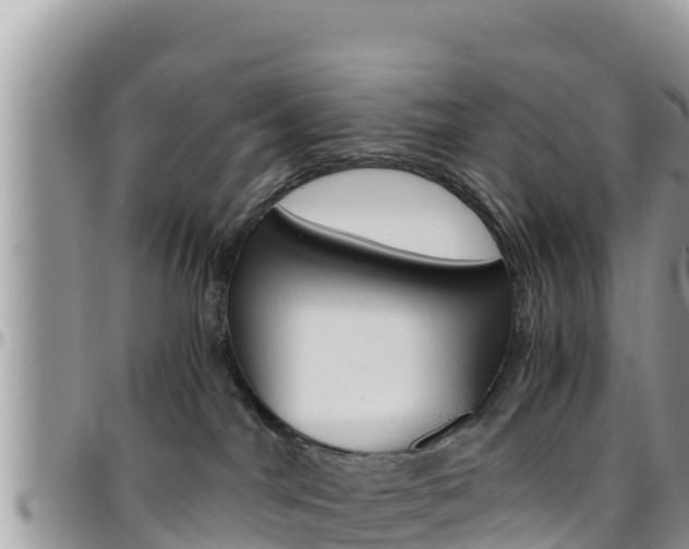 X0000096200044200801181041