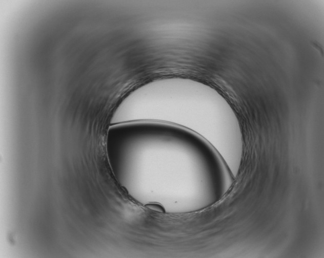 X0000096200045200801181041