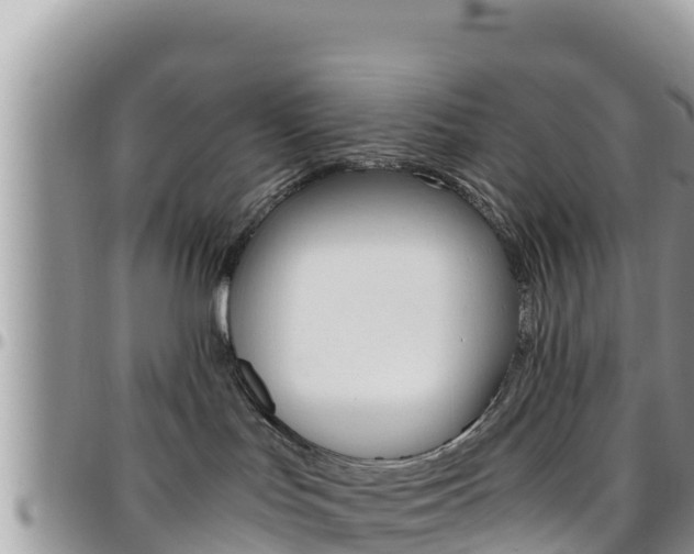 X0000096200047200801181041