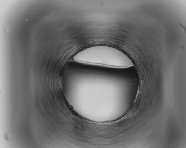 X0000096200048200801181041