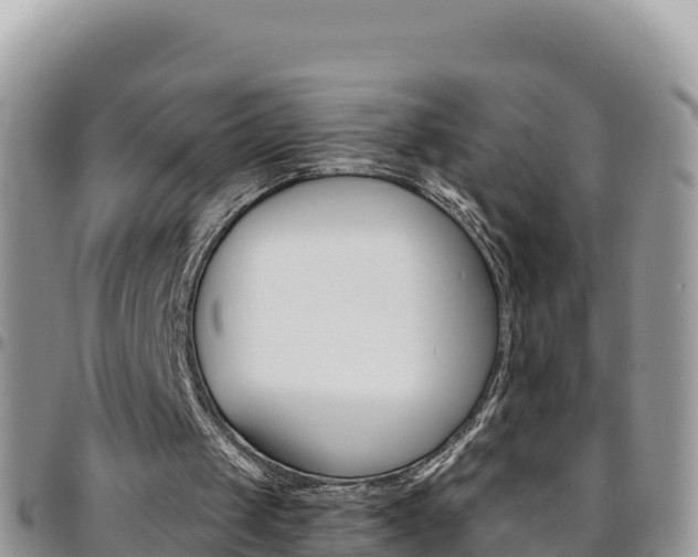X0000096200049200801181040