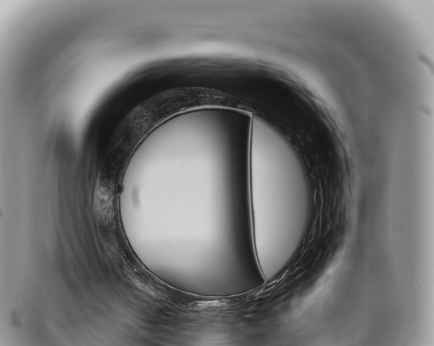 X0000096200050200801181040