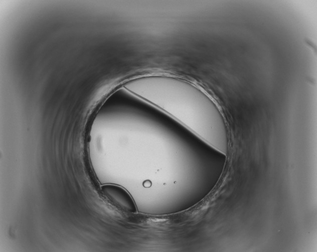 X0000096200055200801181040