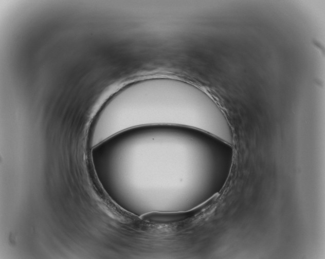 X0000096200056200801181040