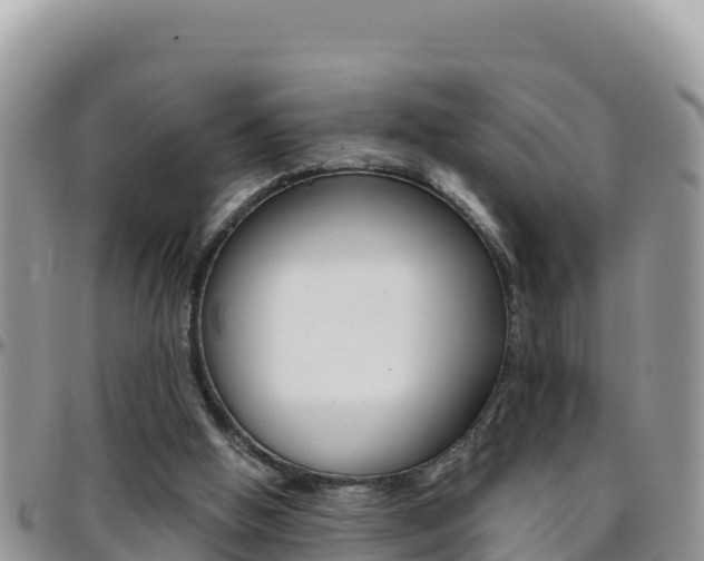 X0000096200058200801181040