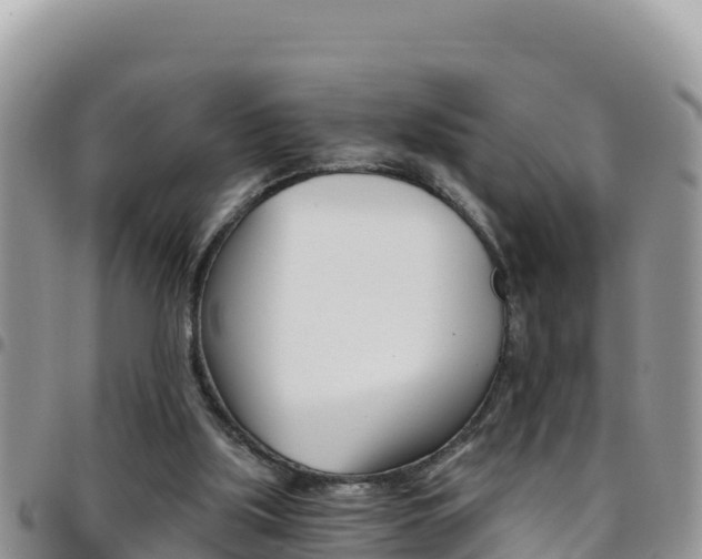 X0000096200059200801181040
