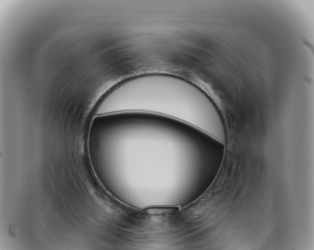 X0000096200060200801181040