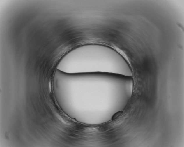 X0000096200061200801181040